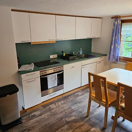 Happy Point Apartment Mellau